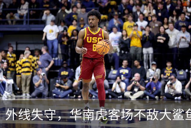 外线失守，华南虎客场不敌大鲨鱼